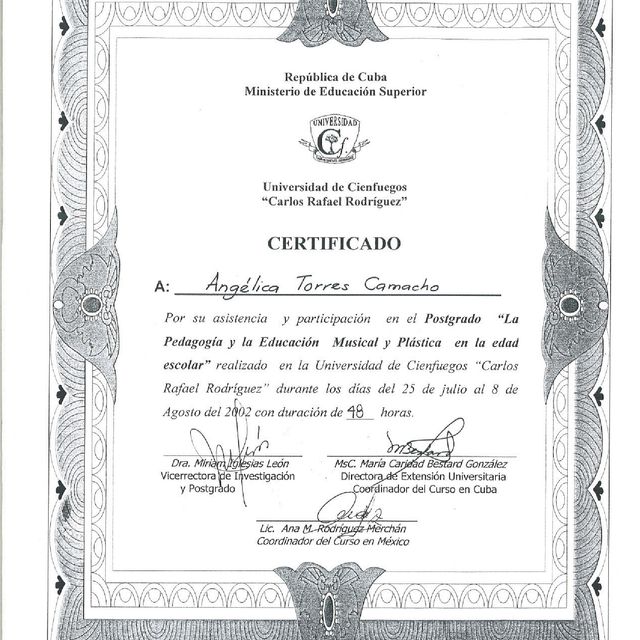 Ampliar imagen: certificate 4