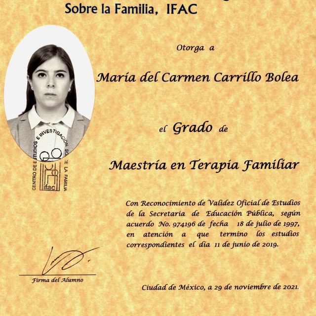 Ampliar imagen: certificate 7