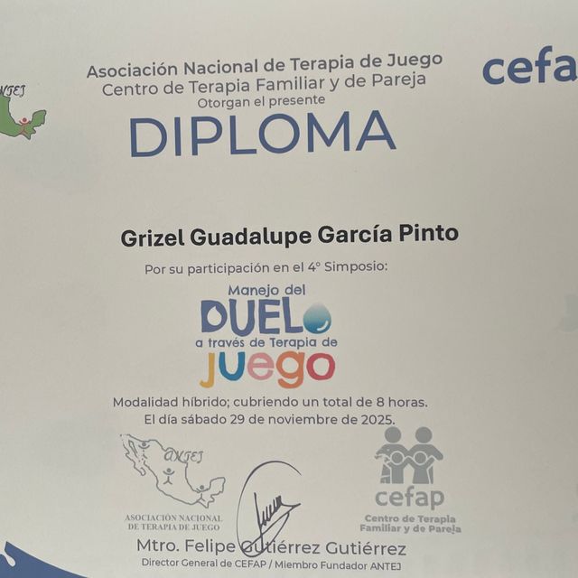 Ampliar imagen: certificate 3