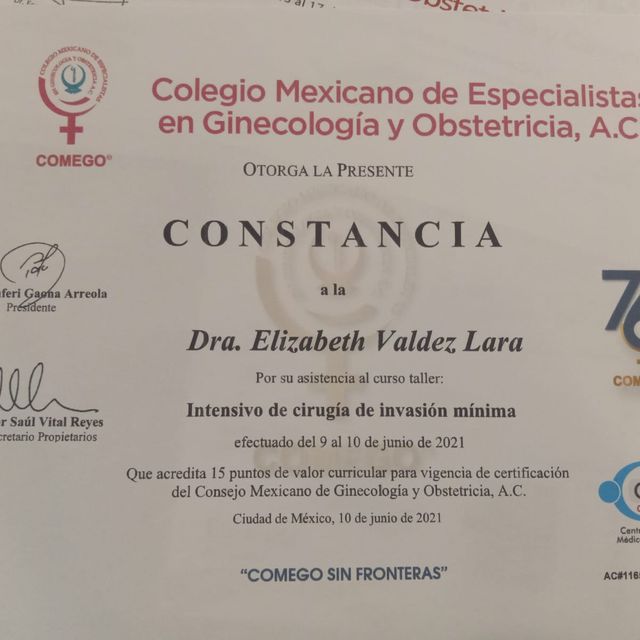 Ampliar imagen: certificate 12