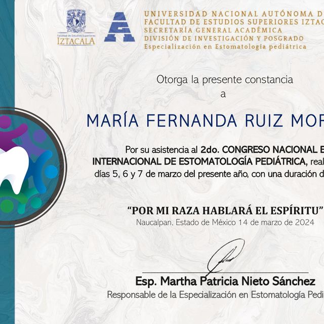 Ampliar imagen: certificate 4
