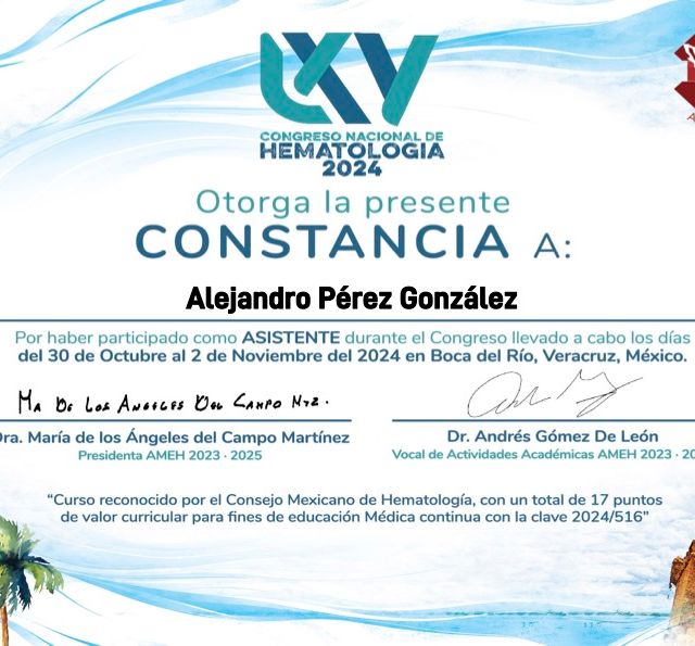 Ampliar imagen: certificate 2