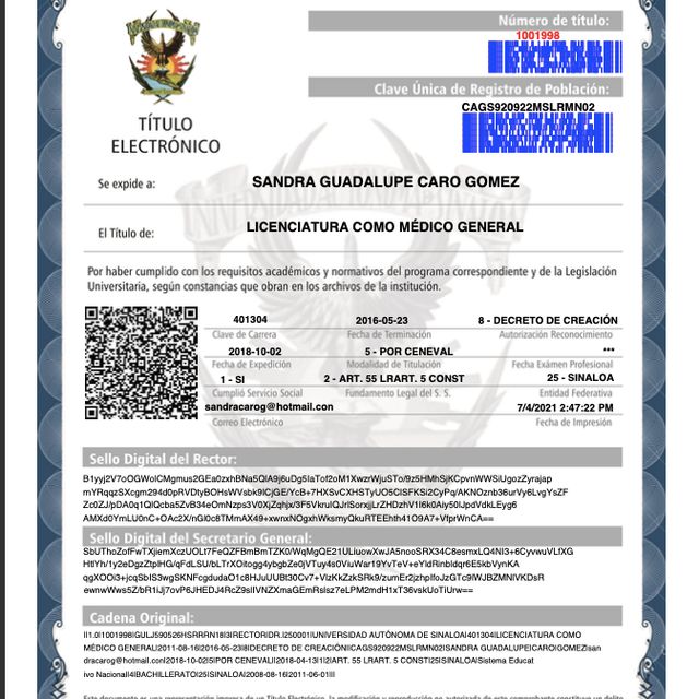 Ampliar imagen: certificate 2