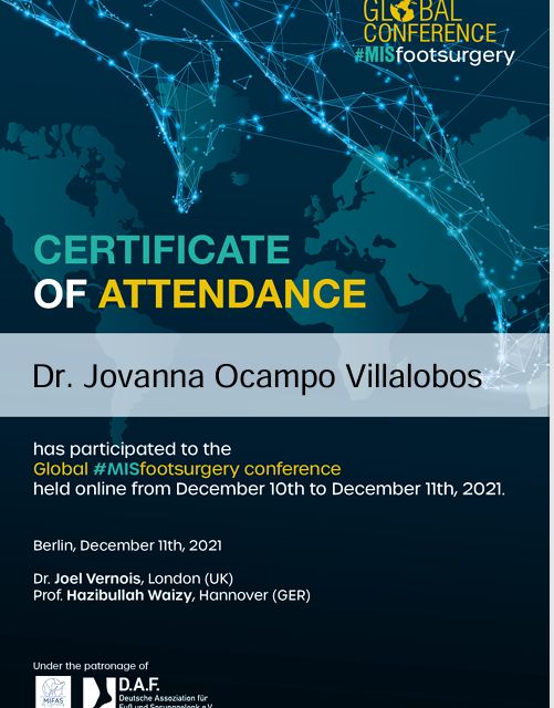 Ampliar imagen: certificate 15