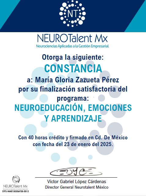 Ampliar imagen: certificate 4