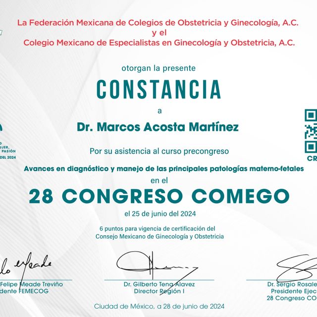 Ampliar imagen: certificate 3