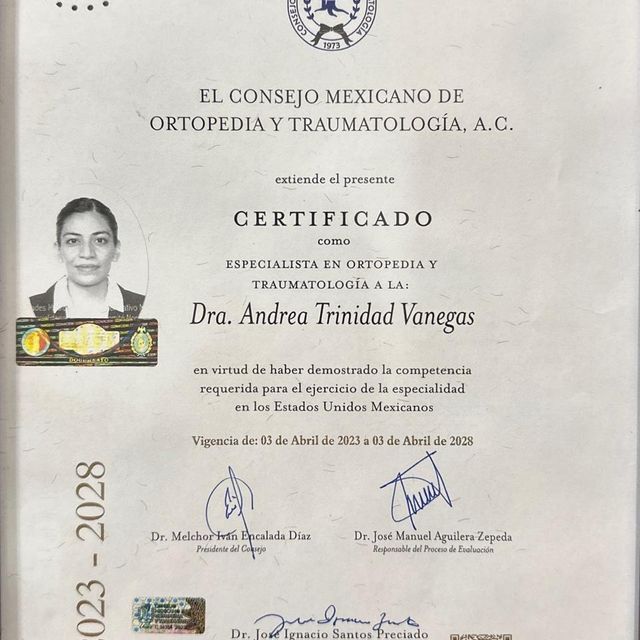 Ampliar imagen: certificate 5