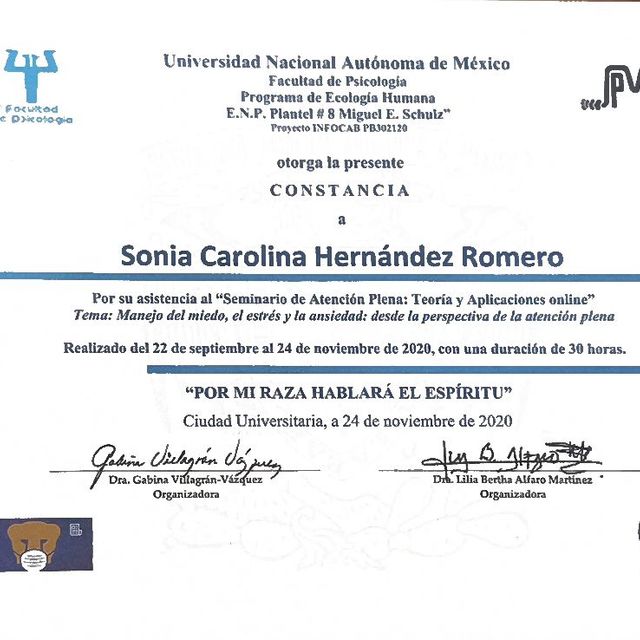 Ampliar imagen: certificate 8
