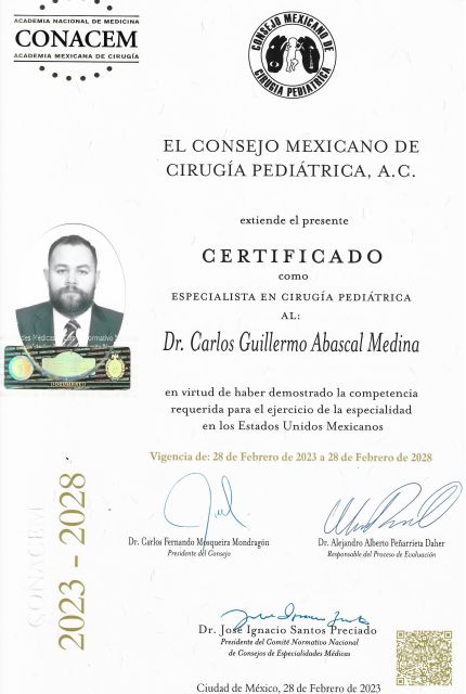 Ampliar imagen: certificate 2