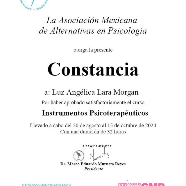 Ampliar imagen: certificate 3