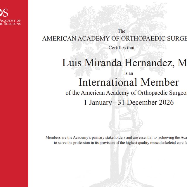 Ampliar imagen: certificate 2