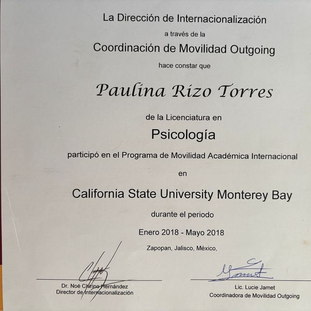 Ampliar imagen: certificate 3