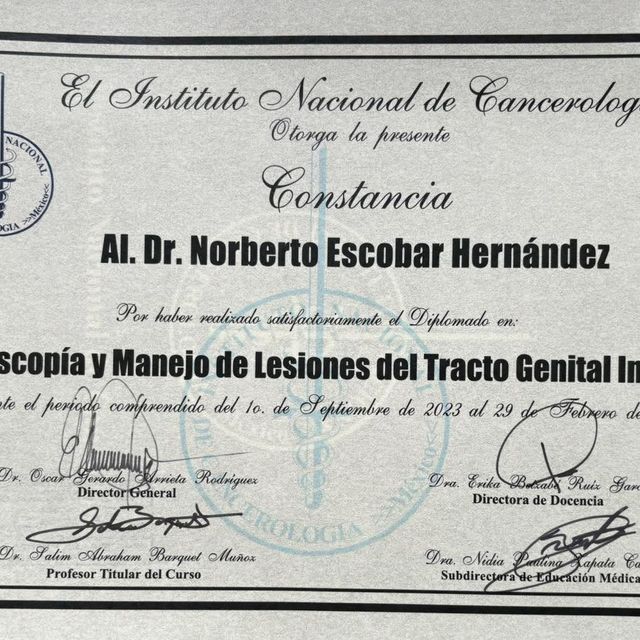 Ampliar imagen: certificate 7