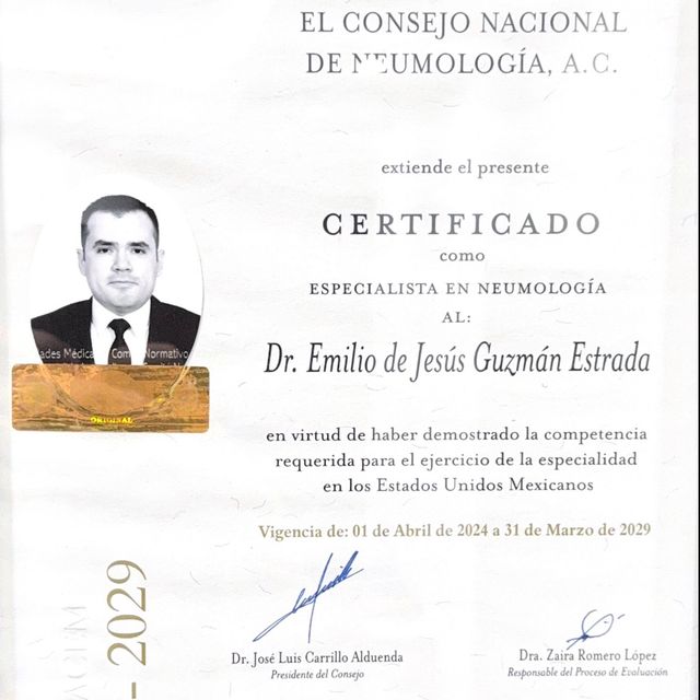 Ampliar imagen: certificate 3