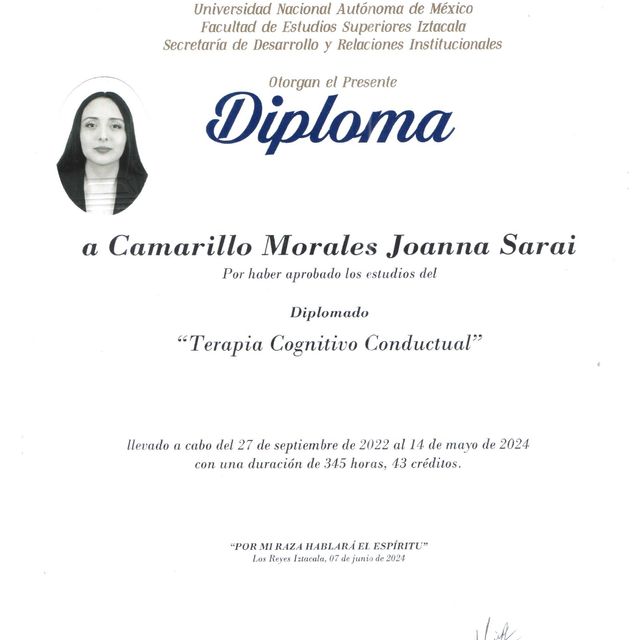 Ampliar imagen: certificate 2
