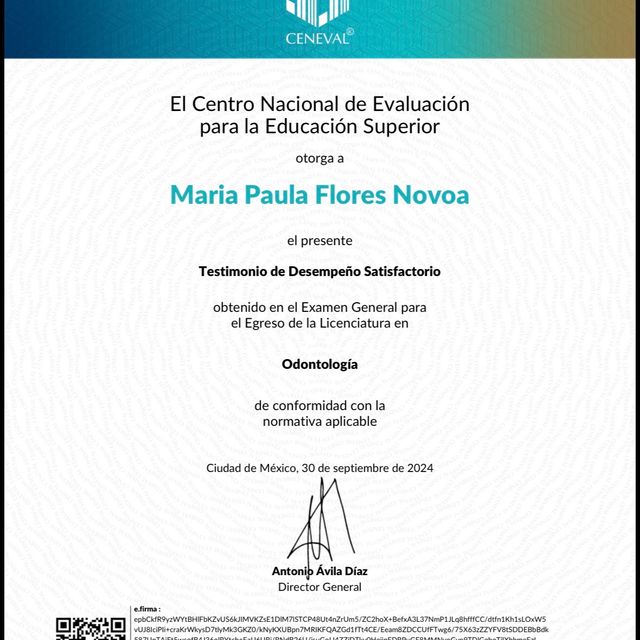 Ampliar imagen: certificate 3