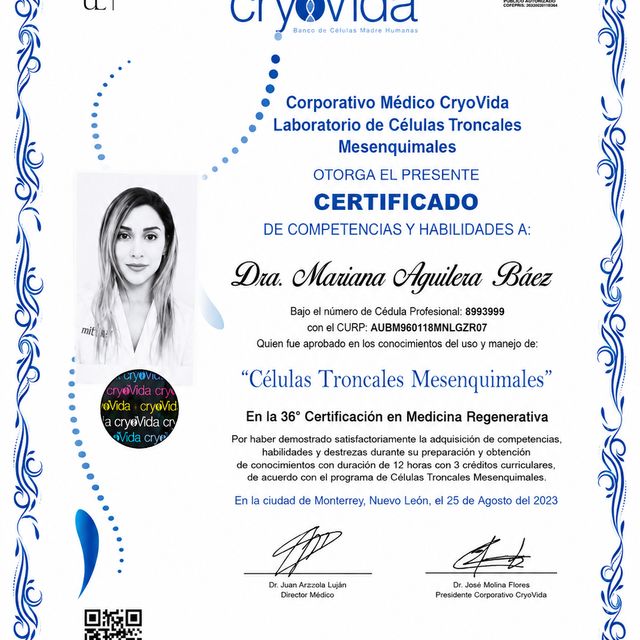 Ampliar imagen: certificate 4