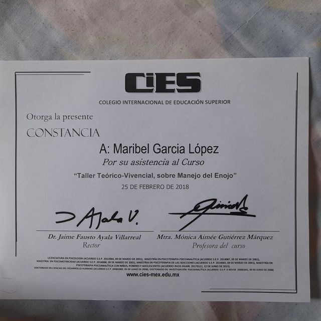 Ampliar imagen: certificate 13