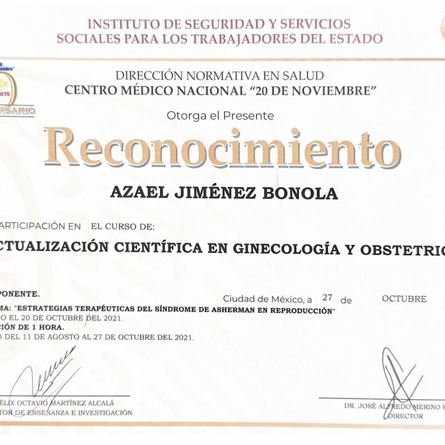 Ampliar imagen: certificate 5