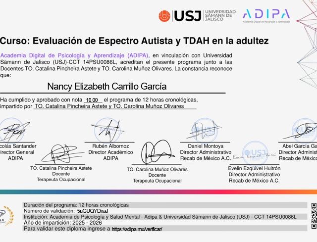 Ampliar imagen: certificate 12