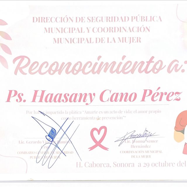 Ampliar imagen: certificate 14