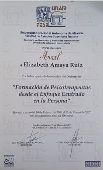 Ampliar imagen: certificate 1