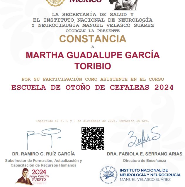 Ampliar imagen: certificate 3