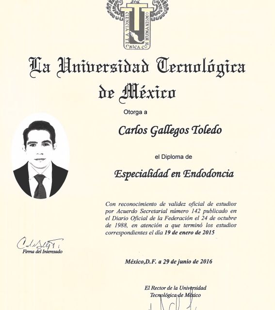 Ampliar imagen: certificate 4