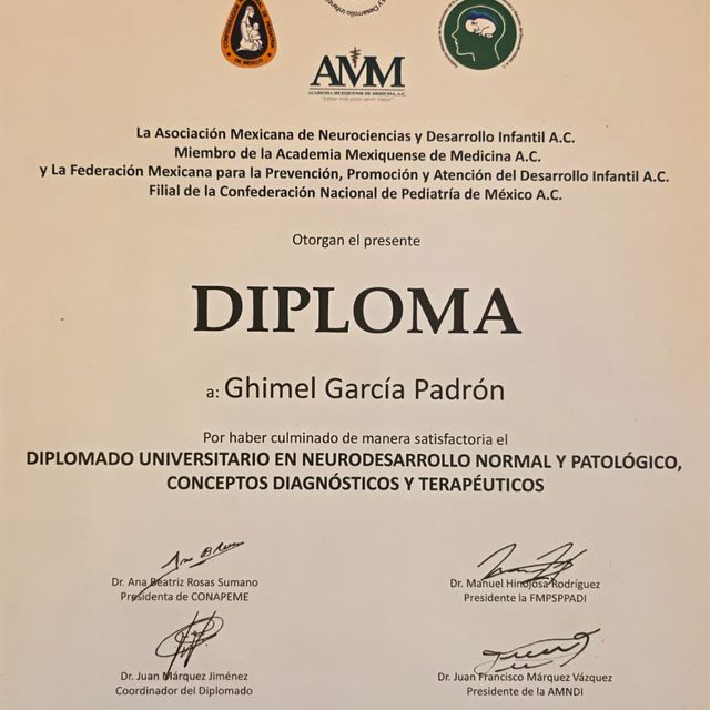 Ampliar imagen: certificate 5