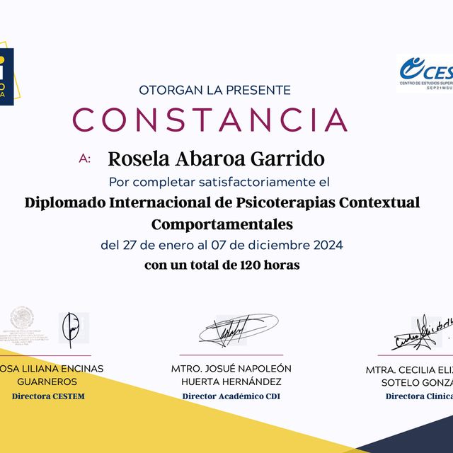 Ampliar imagen: certificate 1
