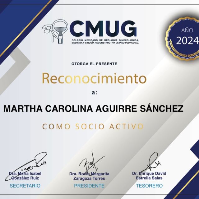 Ampliar imagen: certificate 12