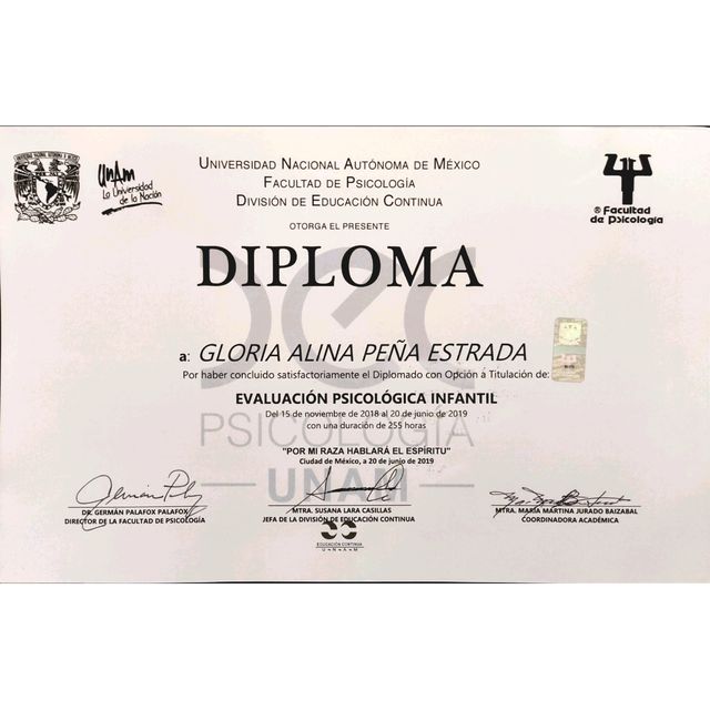 Ampliar imagen: certificate 14