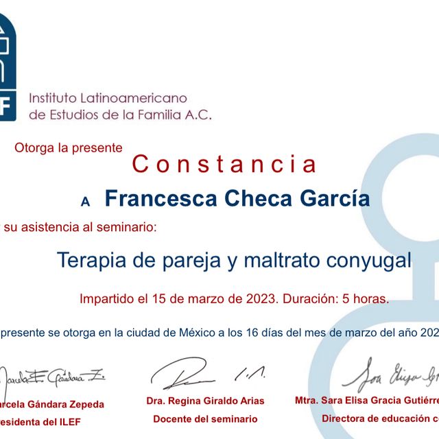 Ampliar imagen: certificate 2