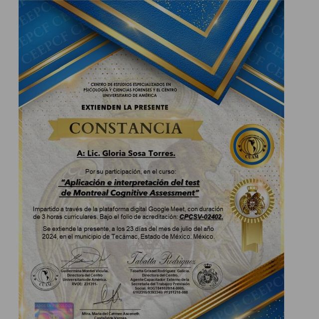 Ampliar imagen: certificate 10