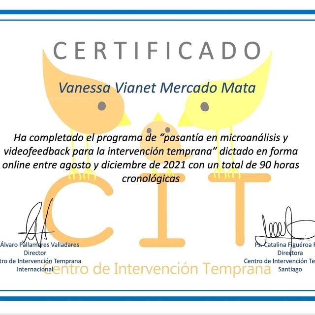 Ampliar imagen: certificate 2