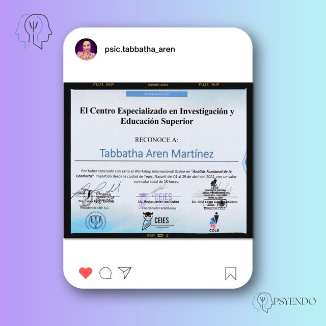 Ampliar imagen: certificate 7