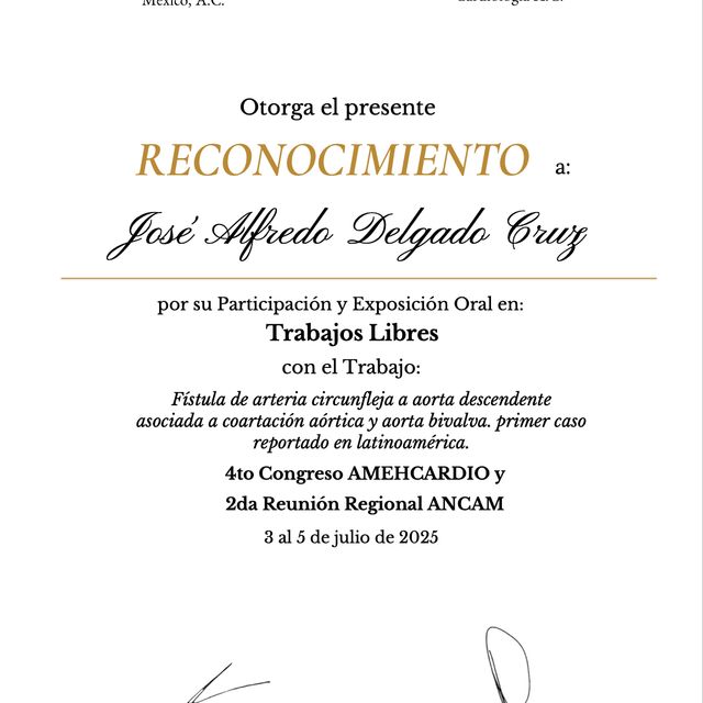 Ampliar imagen: certificate 2