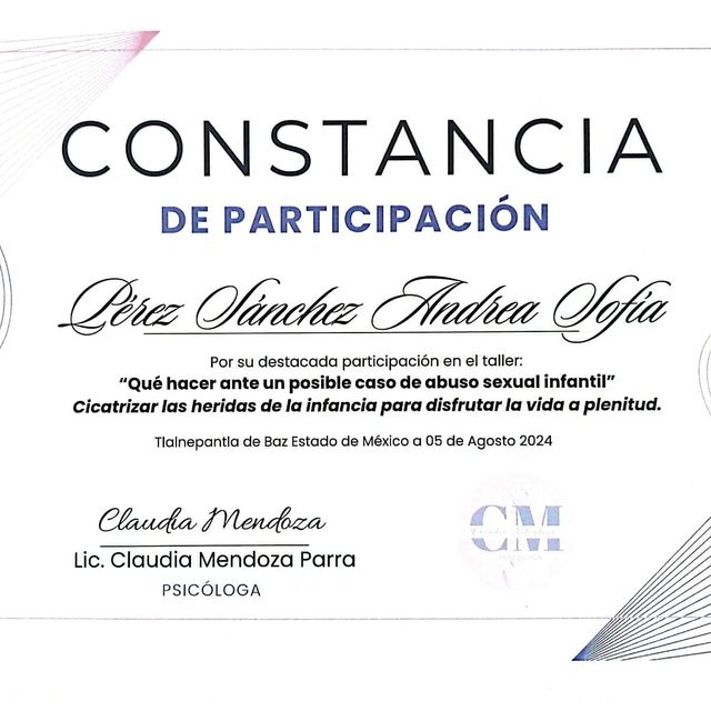 Ampliar imagen: certificate 3
