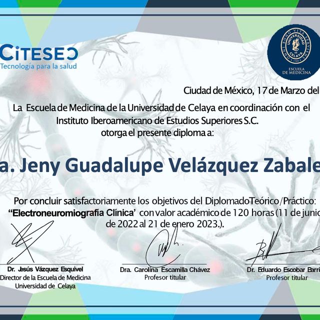 Ampliar imagen: certificate 2