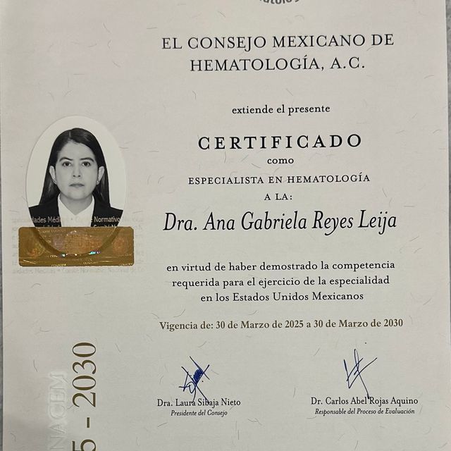 Ampliar imagen: certificate 2