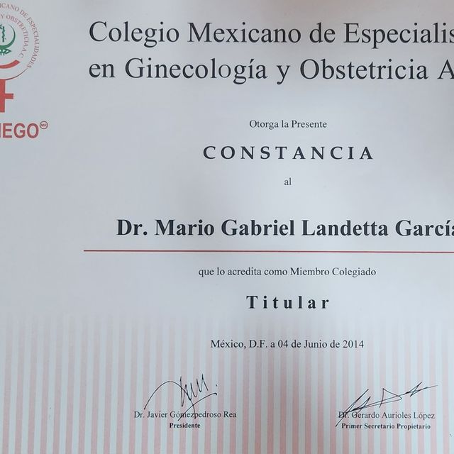 Ampliar imagen: certificate 9