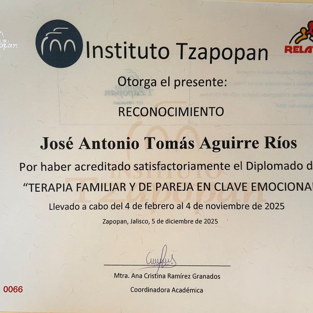 Ampliar imagen: certificate 3