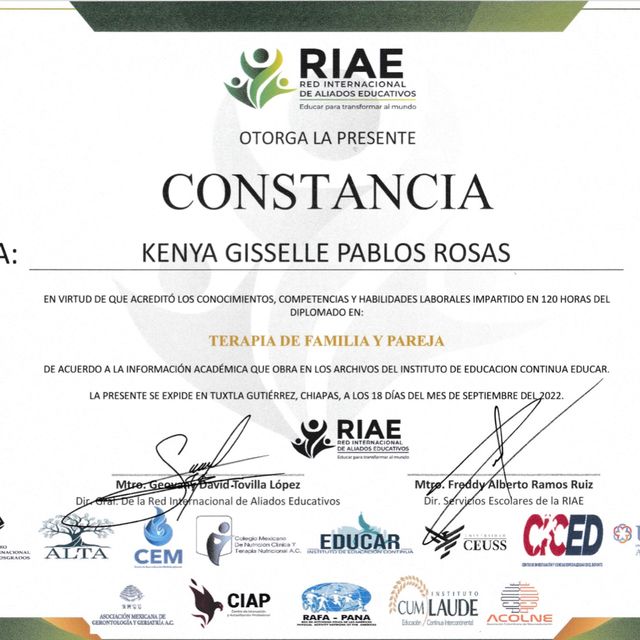 Ampliar imagen: certificate 3