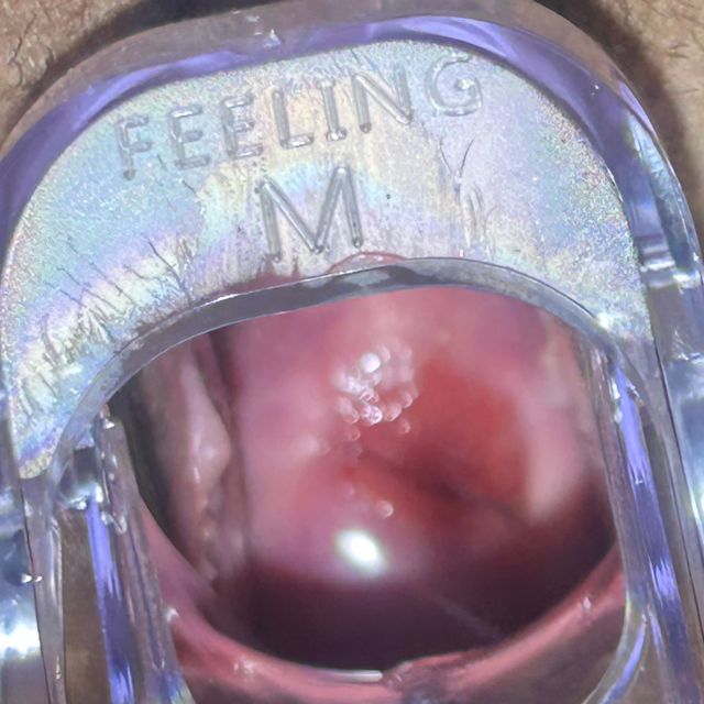 Ampliar imagen: certificate 5