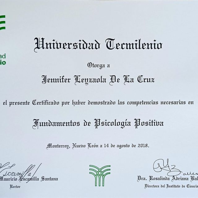 Ampliar imagen: certificate 1