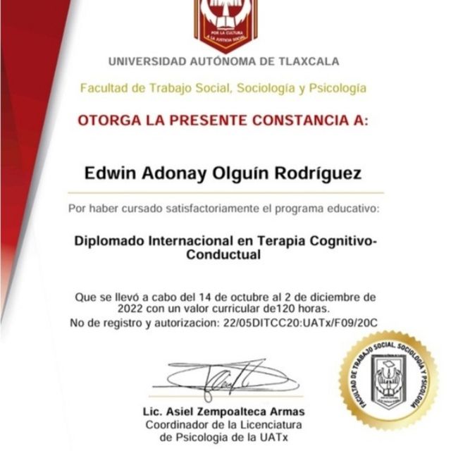 Ampliar imagen: certificate 3