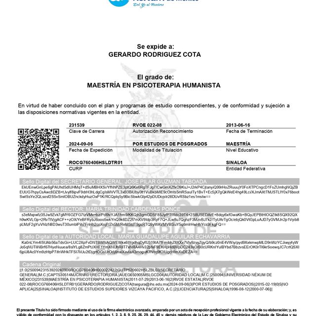 Ampliar imagen: certificate 2