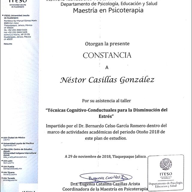 Ampliar imagen: certificate 3