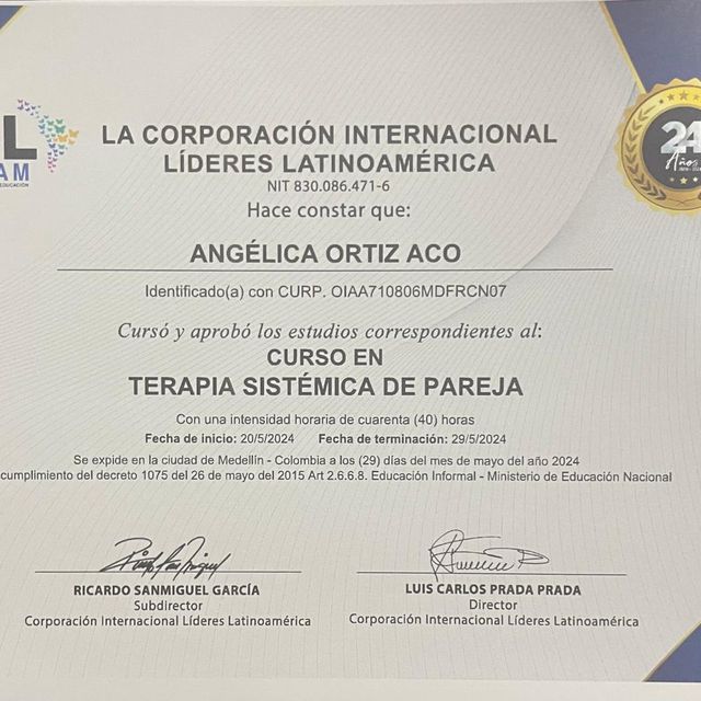 Ampliar imagen: certificate 9