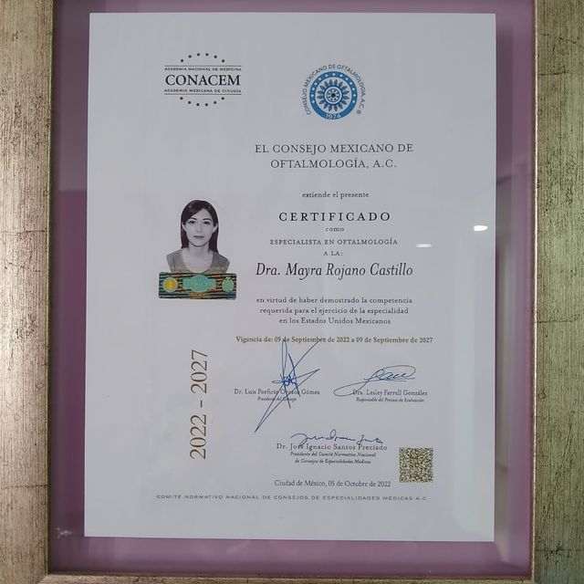 Ampliar imagen: certificate 2